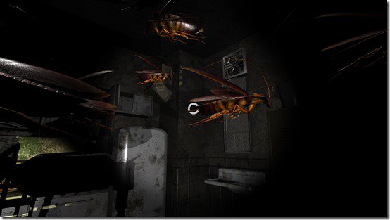 VR Cockroaches
